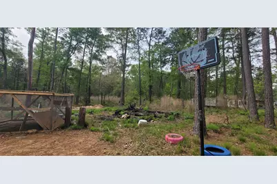 451 N Higgins, Shepherd, TX 77371 - Photo 7