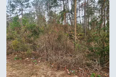 Lot 8 Yupon Lane, Plantersville, TX 77363 - Photo 5