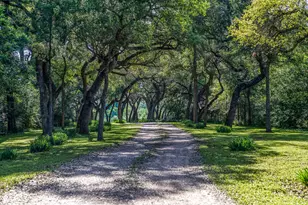 Tract 6 - 8145 Fm 390 E, Brenham, TX 77833 - Photo 1