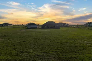 4004 Wild Flower Pl, Waller, TX 77484 - Photo 5