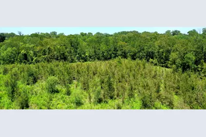 24120 & 24126 Fm 1155 East, Washington, TX 77880 - Photo 17