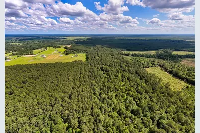Tbd Private Road 5170, Kirbyville, TX 75956 - Photo 41