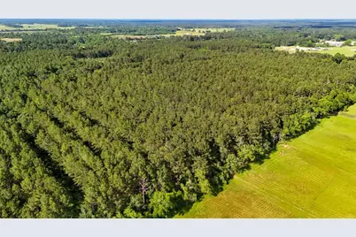 Tbd Private Road 5170, Kirbyville, TX 75956 - Photo 45
