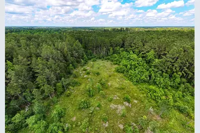 Tbd Private Road 5170, Kirbyville, TX 75956 - Photo 11