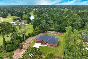 15215 Butterfly Ln, Plantersville, TX 77363 - Photo 41