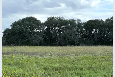 Tr 4 (11.45 Acs) Dancing Deer, Altair, TX 77412 - Photo 1