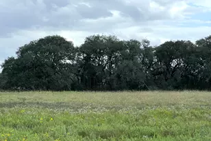 Tr 4 (11 45 Acs) Dancing Deer, Altair, TX 77412 - Photo 1