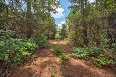 Lot One, 3340 County Road 325, Navasota, TX 77868 - Photo 5