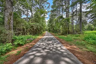 Lot One 3340 County Rd 325, Navasota, TX 77868 - Photo 1