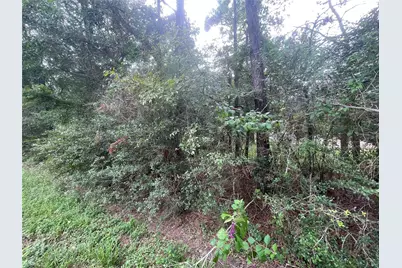 3440 Corolla Road, Magnolia, TX 77354 - Photo 3