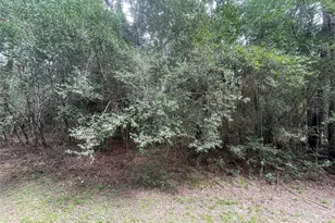 3440 Corolla Rd, Magnolia, TX 77354 - Photo 5