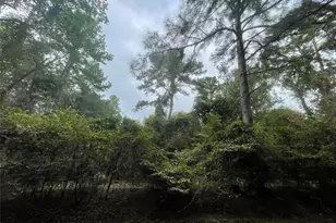 3440 Corolla Rd, Magnolia, TX 77354 - Photo 1