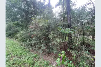 3440 Corolla Road, Magnolia, TX 77354 - Photo 7