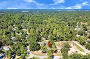 30202 E Geneva Dr, Spring, TX 77386 - Photo 23