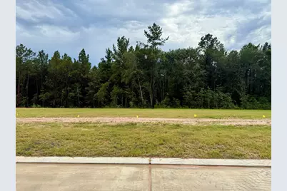 2007 Sandhill Street, Montgomery, TX 77316 - Photo 25