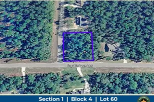 15712 Republic Ranch Rd N, Willis, TX 77378 - Photo 1