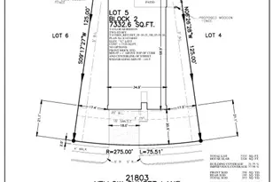 21803 Yellow Sunset Ln, Cypress, TX 77433 - Photo 47