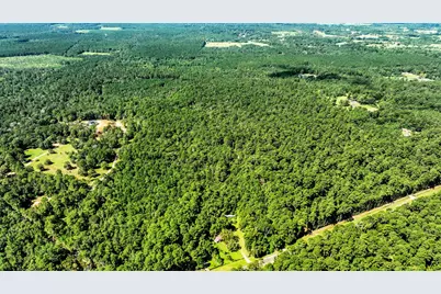 Tbd Shepard Lane, Coldspring, TX 77331 - Photo 3