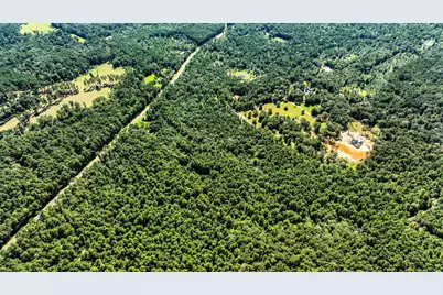 Tbd Shepard Lane, Coldspring, TX 77331 - Photo 5