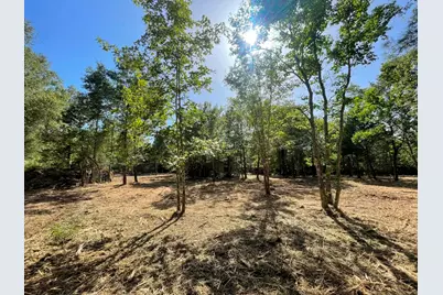 Lot 6 E Fm 942, Livingston, TX 77351 - Photo 1