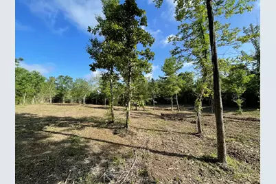Lot 6 E Fm 942, Livingston, TX 77351 - Photo 27