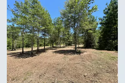 Lot 6 E Fm 942, Livingston, TX 77351 - Photo 33