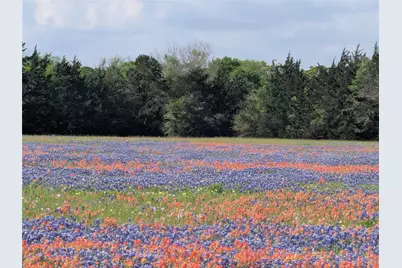 0010 Fm 2562 Road, Anderson, TX 77830 - Photo 1