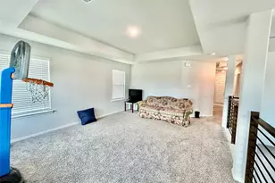 1055 Bluebonnet Trl, Bellville, TX 77418 - Photo 19