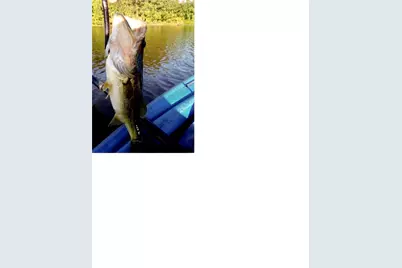 11941 W Hollyhill Drive, Plantersville, TX 77363 - Photo 39