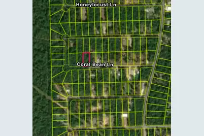 Tbd Coral Bean Lane, Plantersville, TX 77363 - Photo 11