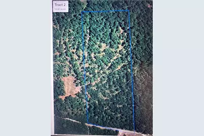 00 Hardy Bottom Road, Huntsville, TX 77340 - Photo 5