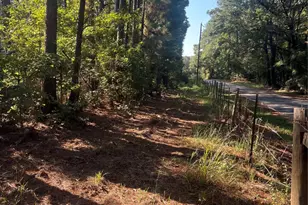 00 Hardy Bottom Rd, Huntsville, TX 77340 - Photo 1