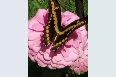 27186 Fields Store Road, Waller, TX 77484 - Photo 31