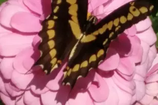 27186 Fields Store Rd, Waller, TX 77484 - Photo 31