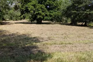 27186 Fields Store Rd, Waller, TX 77484 - Photo 3