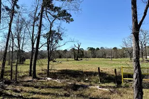 18712-B Sheats Rd, Conroe, TX 77302 - Photo 3