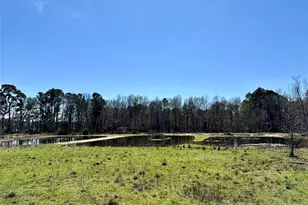 18712-B Sheats Rd, Conroe, TX 77302 - Photo 13