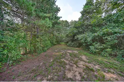 28322 Mellman Road, Hempstead, TX 77445 - Photo 7