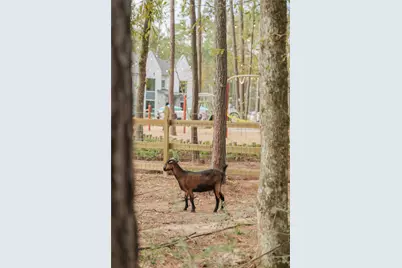 11407 Mandolin Drive, Montgomery, TX 77316 - Photo 21