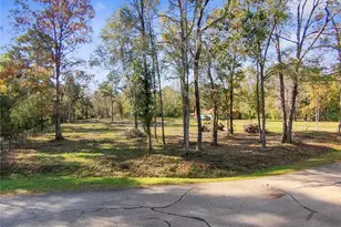 1697 O' Daniel, Conroe, TX 77301 - Photo 1