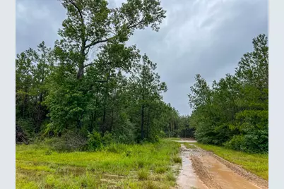 6 Sunflower Road, Livingston, TX 77351 - Photo 7
