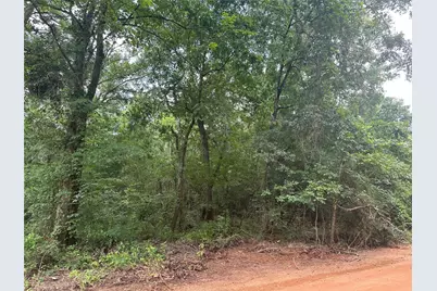 0 Foxfire Drive, Plantersville, TX 77363 - Photo 1