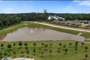 15347 Abella Dr, Montgomery, TX 77316 - Photo 39