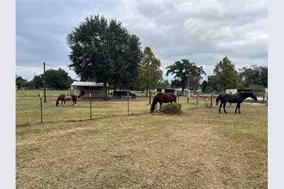 31807 Washington Street, Waller, TX 77484 - Photo 3