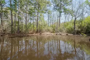 14 Veronica Ln, Huntsville, TX 77340 - Photo 41