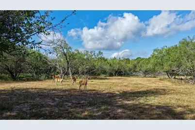 Tract 4 Tbd Mensik Rd, Bryan, TX 77808 - Photo 9