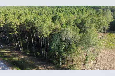 1683 Road 66115, Dayton, TX 77535 - Photo 3