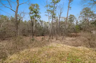 29 Dogwood Rd, Huntsville, TX 77320 - Photo 9