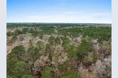 29 Dogwood Road, Huntsville, TX 77320 - Photo 35