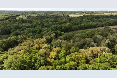 7396 County Road 204, Plantersville, TX 77363 - Photo 47